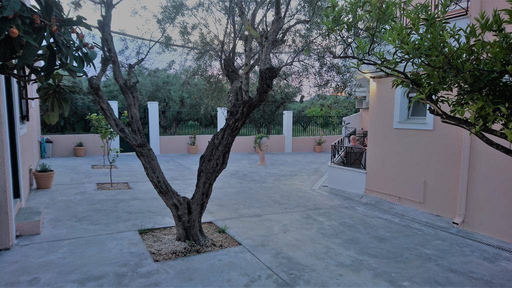 Doras Zante Studios & Apartments Argassi Exterior photo