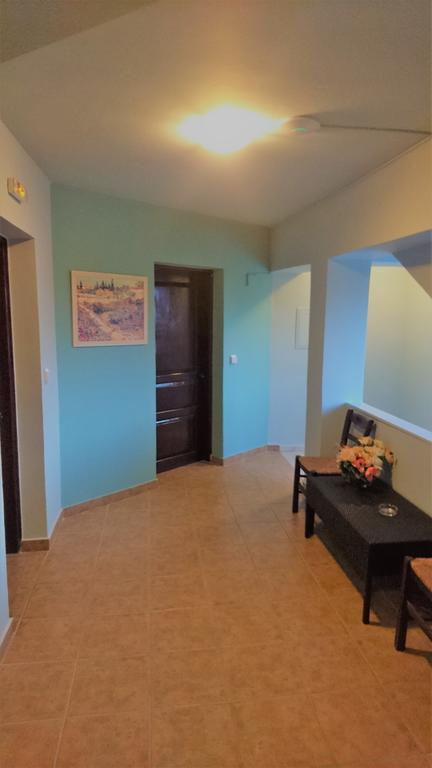 Doras Zante Studios & Apartments Argassi Exterior photo
